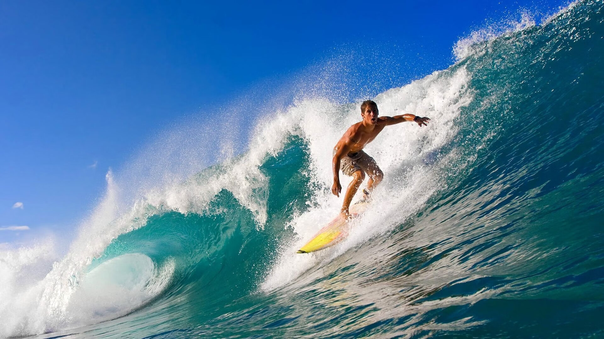 法甲劲旅里尔继续高歌猛进，冲击冠军